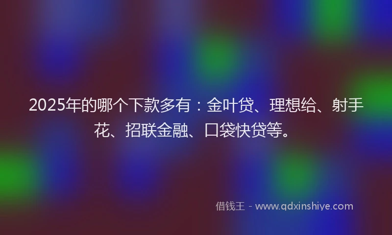 2025年的哪个下款多有：金叶贷、理想给、射手花、招联金融、口袋快贷等。