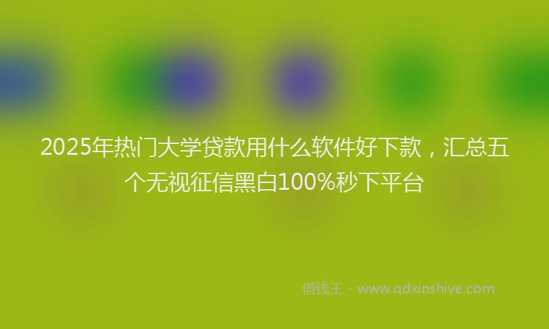 2025年热门大学贷款用什么软件好下款，汇总五个无视征信黑白100%秒下平台