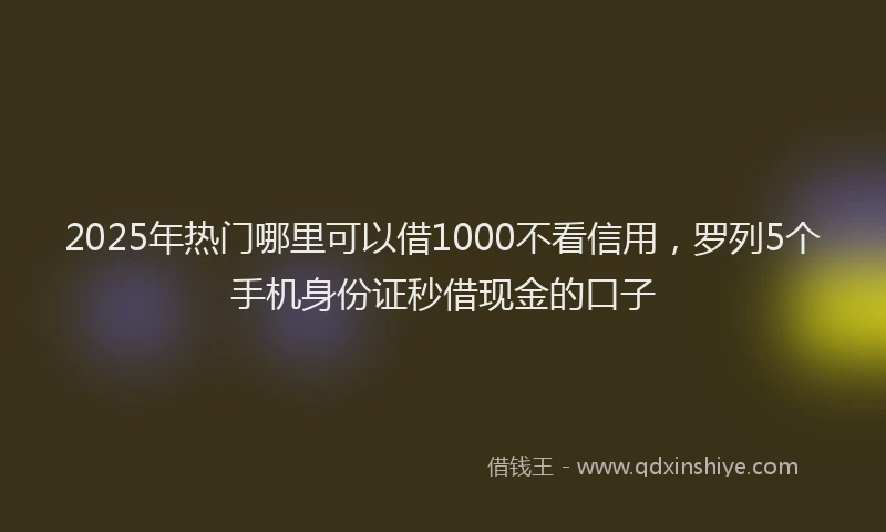 2025年热门哪里可以借1000不看信用，罗列5个手机身份证秒借现金的口子