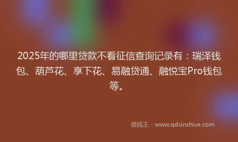 2025年的哪里贷款不看征信查询记录有：瑞泽钱包、葫芦花、享下花、易融贷通、融悦宝Pro钱包等。