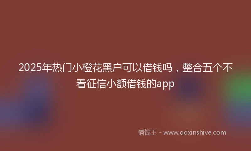 2025年热门小橙花黑户可以借钱吗，整合五个不看征信小额借钱的app