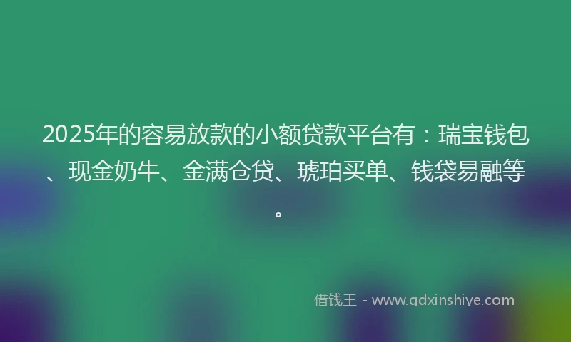 2025年的容易放款的小额贷款平台有：瑞宝钱包、现金奶牛、金满仓贷、琥珀买单、钱袋易融等。