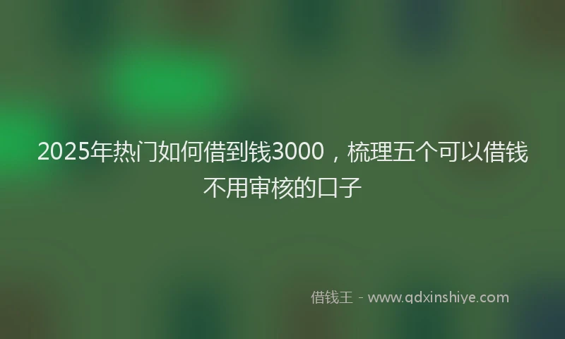 2025年热门如何借到钱3000，梳理五个可以借钱不用审核的口子