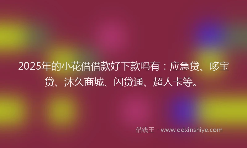 2025年的小花借借款好下款吗有:应急贷、哆宝贷、沐久商城、闪贷通、超人卡等。
