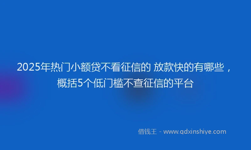 2025年热门小额贷不看征信的 放款快的有哪些，概括5个低门槛不查征信的平台