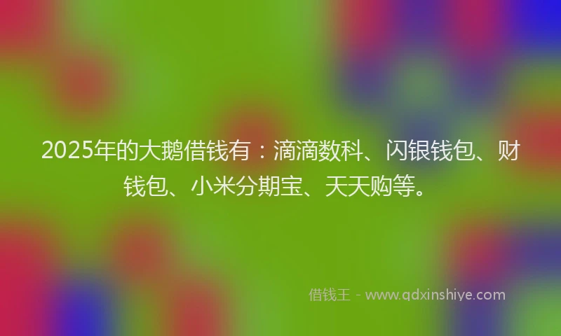 2025年的大鹅借钱有：滴滴数科、闪银钱包、财钱包、小米分期宝、天天购等。