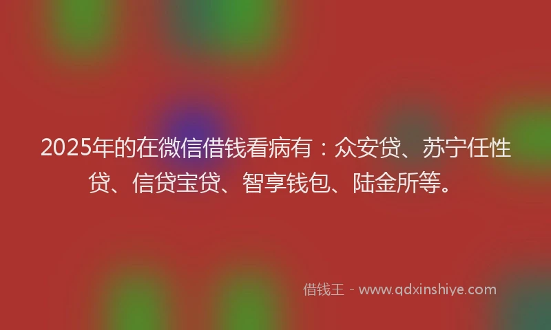 2025年的在微信借钱看病有：众安贷、苏宁任性贷、信贷宝贷、智享钱包、陆金所等。