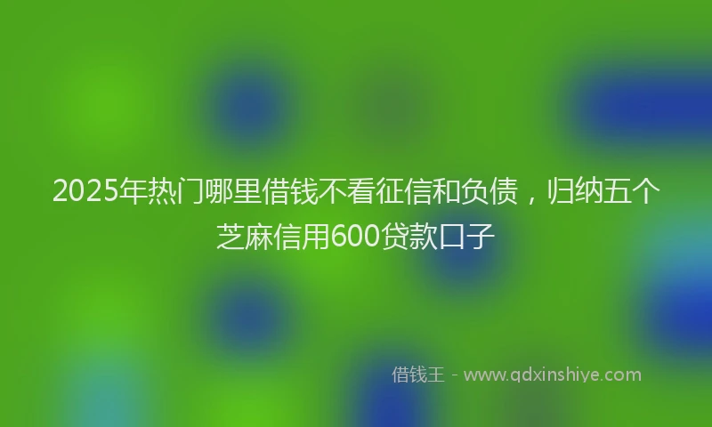 2025年热门哪里借钱不看征信和负债，归纳五个芝麻信用600贷款口子