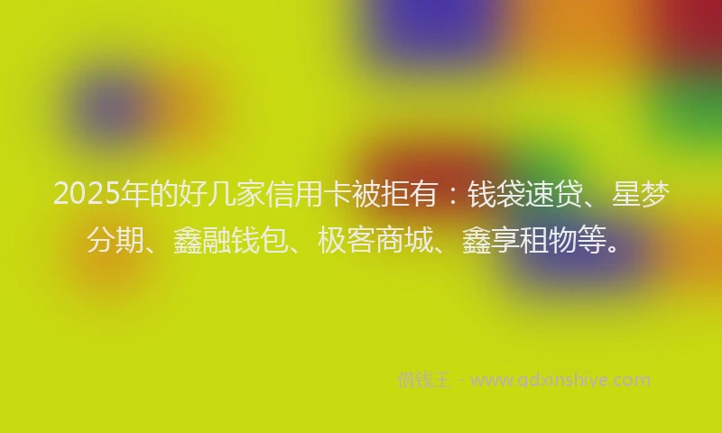 2025年的好几家信用卡被拒有：钱袋速贷、星梦分期、鑫融钱包、极客商城、鑫享租物等。