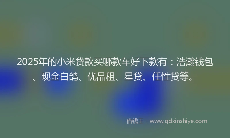 2025年的小米贷款买哪款车好下款有：浩瀚钱包、现金白鸽、优品租、星贷、任性贷等。