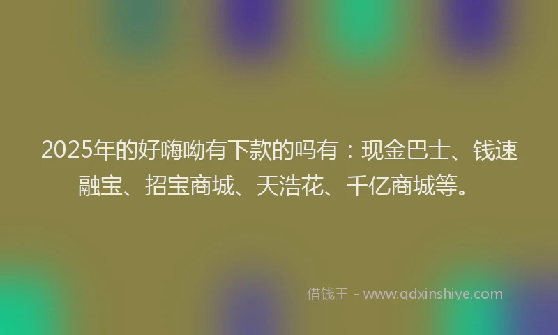 2025年的好嗨呦有下款的吗有：现金巴士、钱速融宝、招宝商城、天浩花、千亿商城等。