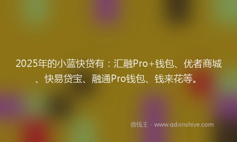 2025年的小蓝快贷有：汇融Pro+钱包、优者商城、快易贷宝、融通Pro钱包、钱来花等。
