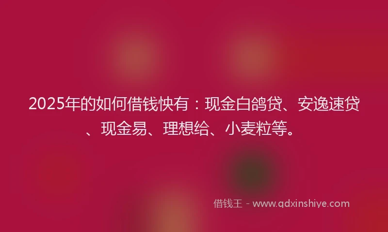 2025年的如何借钱怏有：现金白鸽贷、安逸速贷、现金易、理想给、小麦粒等。