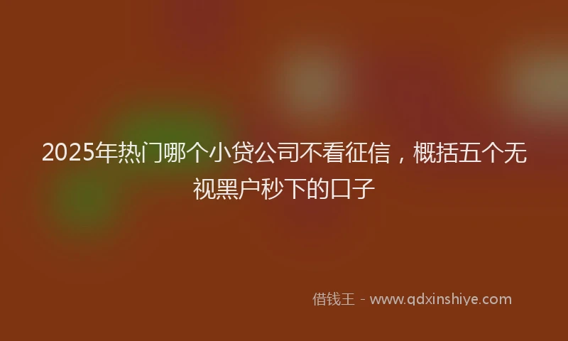 2025年热门哪个小贷公司不看征信，概括五个无视黑户秒下的口子