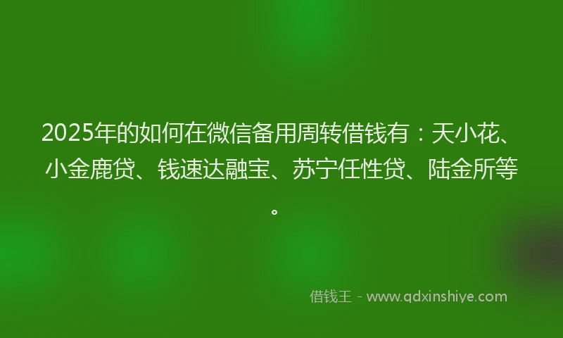 2025年的如何在微信备用周转借钱有：天小花、小金鹿贷、钱速达融宝、苏宁任性贷、陆金所等。