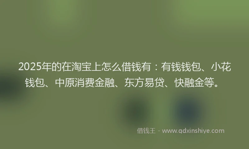 2025年的在淘宝上怎么借钱有：有钱钱包、小花钱包、中原消费金融、东方易贷、快融金等。