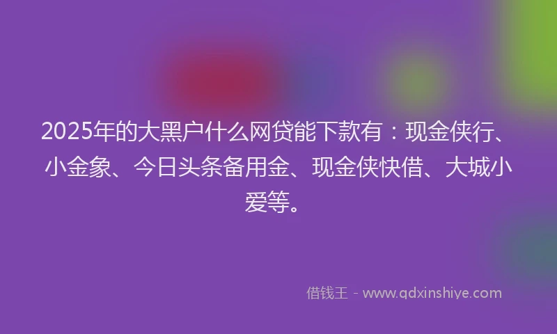 2025年的大黑户什么网贷能下款有：现金侠行、小金象、今日头条备用金、现金侠快借、大城小爱等。