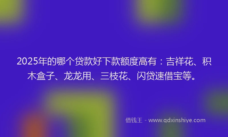 2025年的哪个贷款好下款额度高有：吉祥花、积木盒子、龙龙用、三枝花、闪贷速借宝等。
