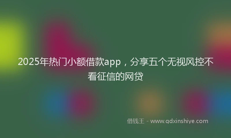 2025年热门小额借款app，分享五个无视风控不看征信的网贷