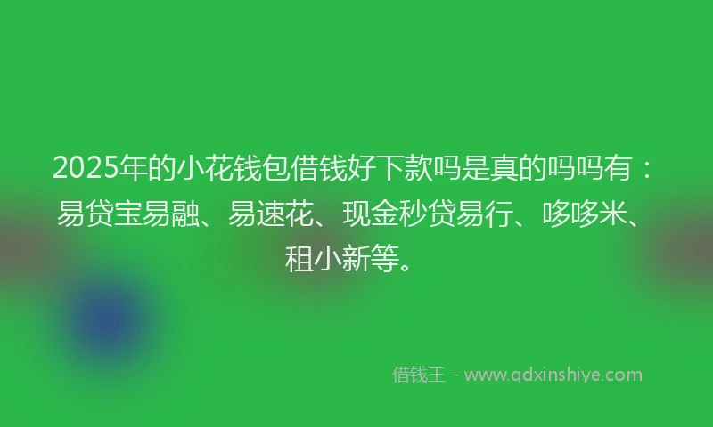 2025年的小花钱包借钱好下款吗是真的吗吗有：易贷宝易融、易速花、现金秒贷易行、哆哆米、租小新等。