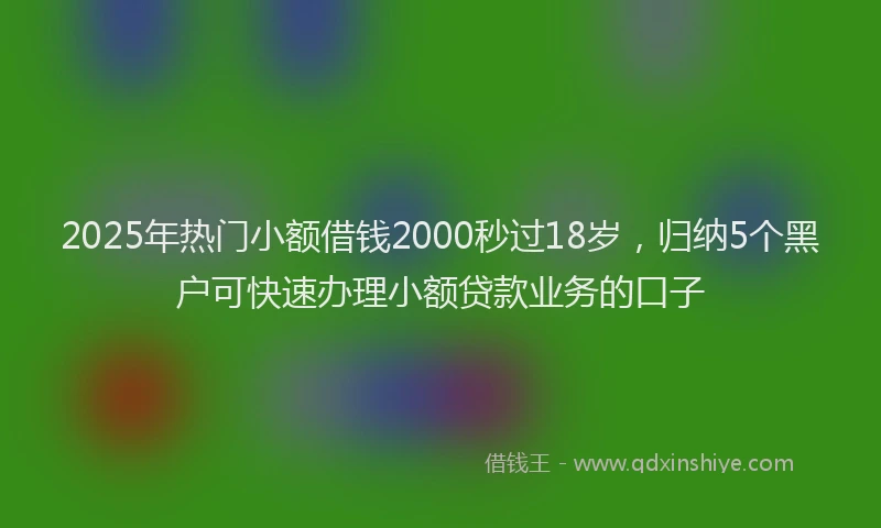 2025年热门小额借钱2000秒过18岁，归纳5个黑户可快速办理小额贷款业务的口子