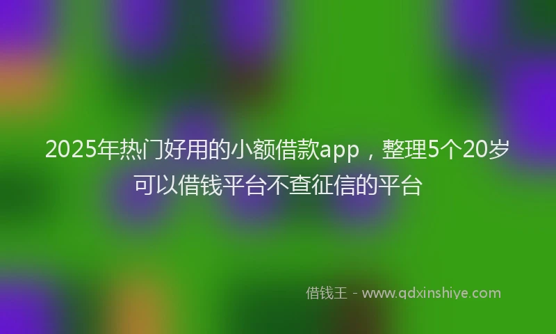 2025年热门好用的小额借款app，整理5个20岁可以借钱平台不查征信的平台