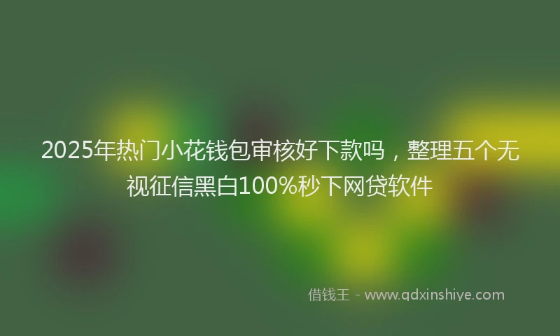 2025年热门小花钱包审核好下款吗，整理五个无视征信黑白100%秒下网贷软件