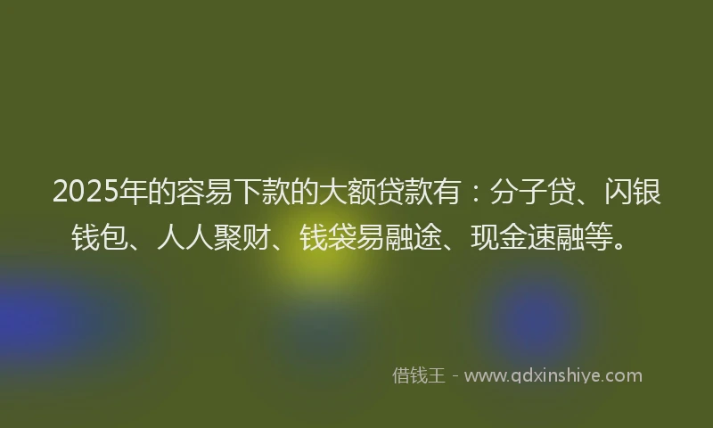 2025年的容易下款的大额贷款有：分子贷、闪银钱包、人人聚财、钱袋易融途、现金速融等。
