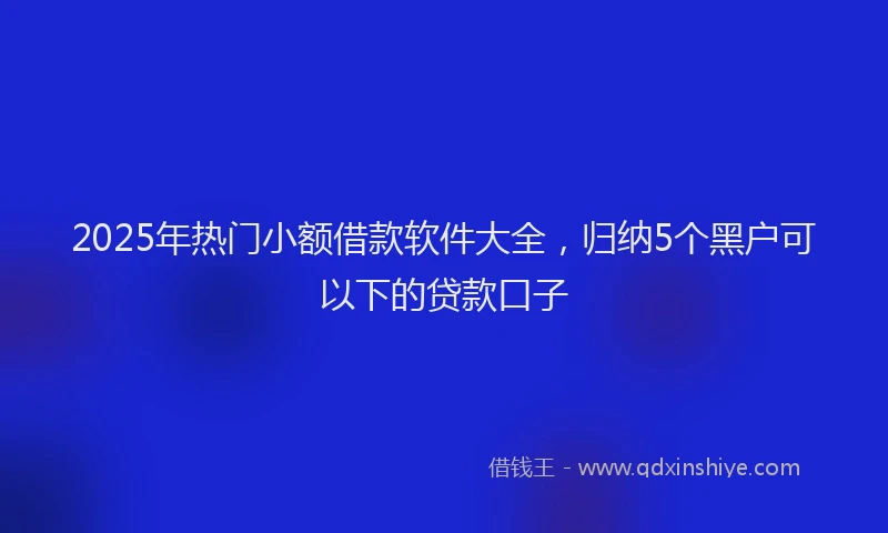 2025年热门小额借款软件大全，归纳5个黑户可以下的贷款口子