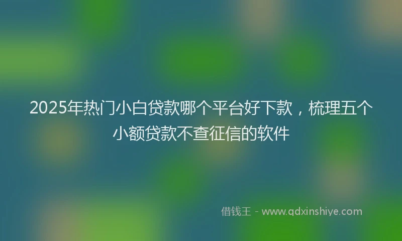 2025年热门小白贷款哪个平台好下款,梳理五个小额贷款不查征信的软件