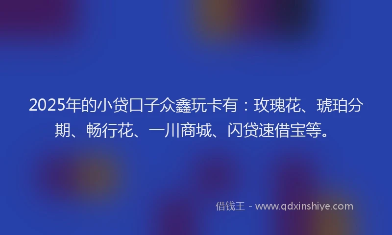 2025年的小贷口子众鑫玩卡有：玫瑰花、琥珀分期、畅行花、一川商城、闪贷速借宝等。