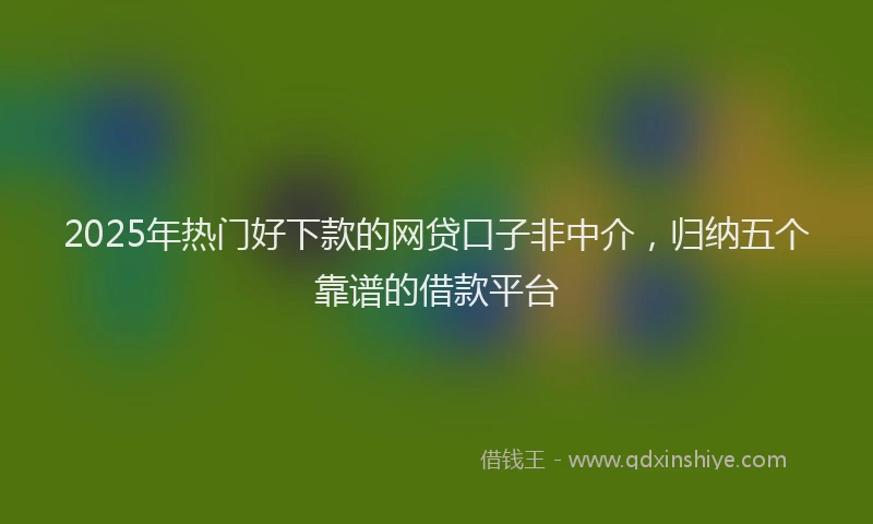 2025年热门好下款的网贷口子非中介，归纳五个靠谱的借款平台