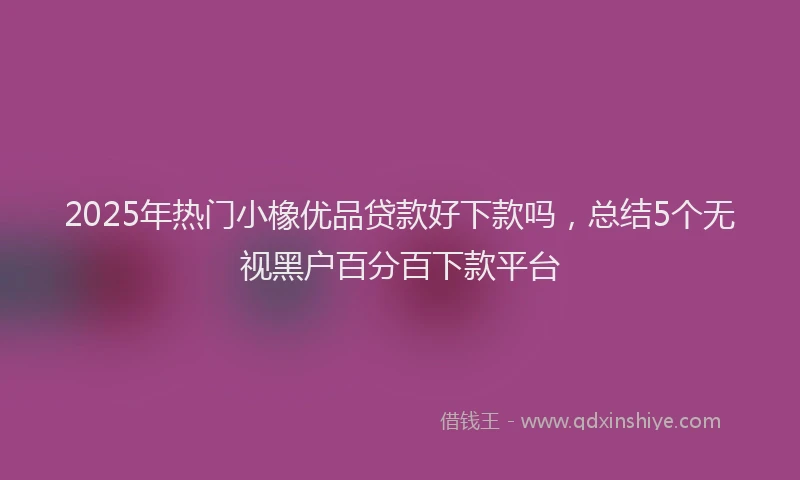 2025年热门小橡优品贷款好下款吗，总结5个无视黑户百分百下款平台
