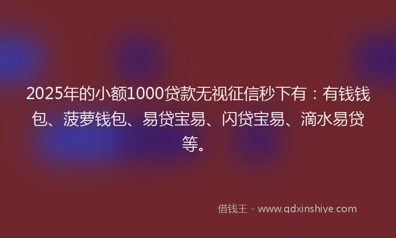 2025年的小额1000贷款无视征信秒下有：有钱钱包、菠萝钱包、易贷宝易、闪贷宝易、滴水易贷等。
