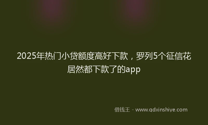 2025年热门小贷额度高好下款，罗列5个征信花居然都下款了的app