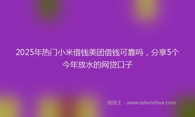 2025年热门小米借钱美团借钱可靠吗，分享5个今年放水的网贷口子