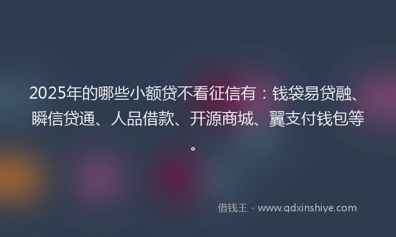2025年的哪些小额贷不看征信有：钱袋易贷融、瞬信贷通、人品借款、开源商城、翼支付钱包等。
