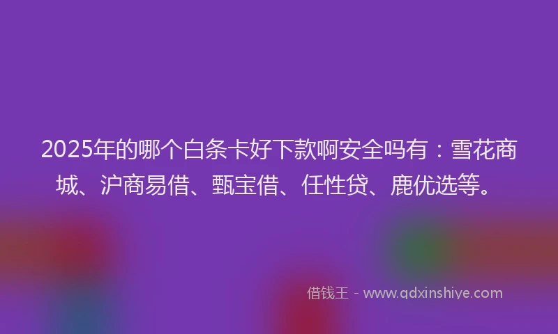 2025年的哪个白条卡好下款啊安全吗有：雪花商城、沪商易借、甄宝借、任性贷、鹿优选等。
