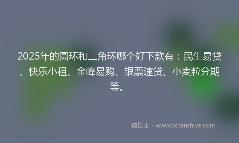 2025年的圆环和三角环哪个好下款有：民生易贷、快乐小租、金峰易购、银票速贷、小麦粒分期等。