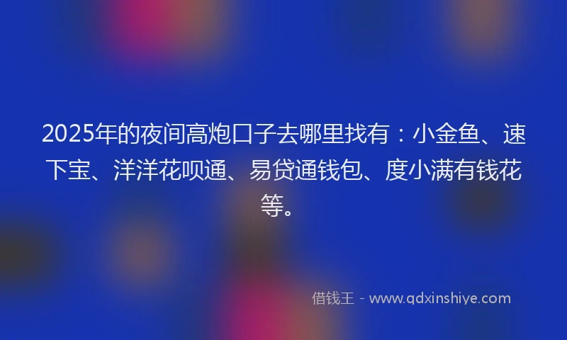 2025年的夜间高炮口子去哪里找有：小金鱼、速下宝、洋洋花呗通、易贷通钱包、度小满有钱花等。