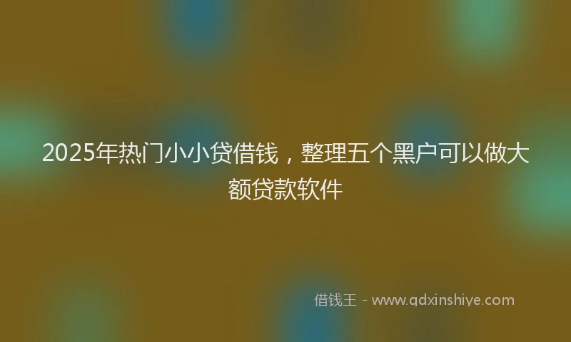 2025年热门小小贷借钱，整理五个黑户可以做大额贷款软件