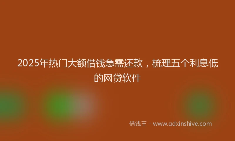 2025年热门大额借钱急需还款，梳理五个利息低的网贷软件