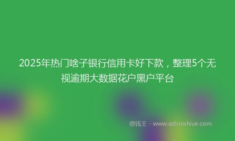 2025年热门啥子银行信用卡好下款，整理5个无视逾期大数据花户黑户平台