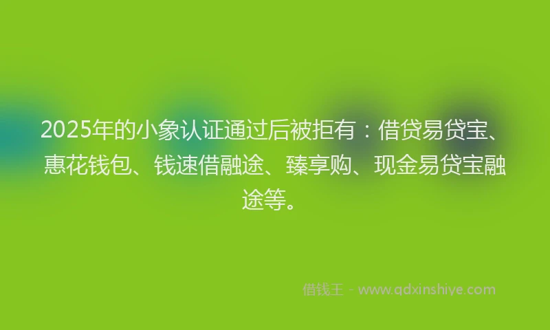 2025年的小象认证通过后被拒有：借贷易贷宝、惠花钱包、钱速借融途、臻享购、现金易贷宝融途等。
