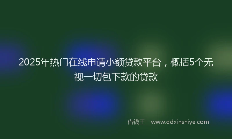2025年热门在线申请小额贷款平台，概括5个无视一切包下款的贷款