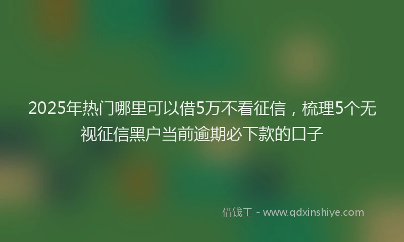 2025年热门哪里可以借5万不看征信，梳理5个无视征信黑户当前逾期必下款的口子