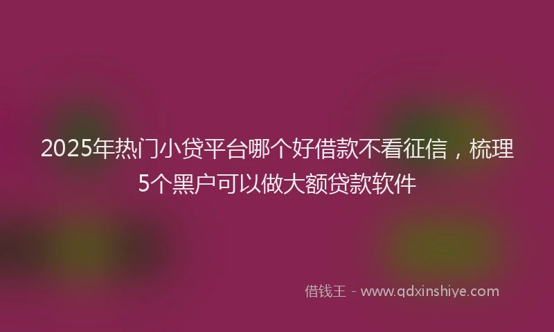 2025年热门小贷平台哪个好借款不看征信，梳理5个黑户可以做大额贷款软件
