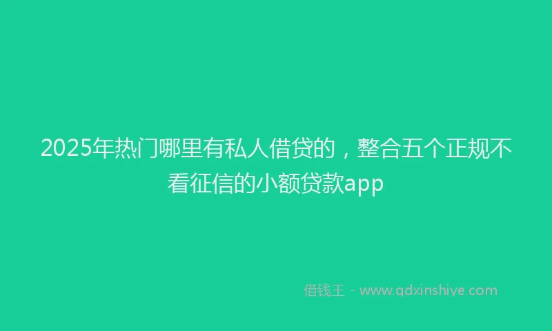 2025年热门哪里有私人借贷的，整合五个正规不看征信的小额贷款app