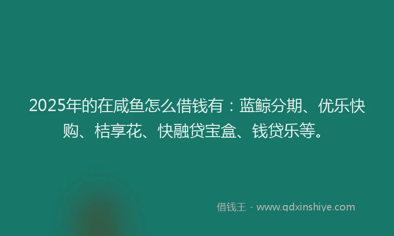 2025年的在咸鱼怎么借钱有：蓝鲸分期、优乐快购、桔享花、快融贷宝盒、钱贷乐等。