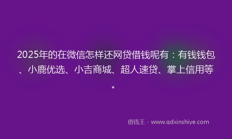 2025年的在微信怎样还网贷借钱呢有：有钱钱包、小鹿优选、小吉商城、超人速贷、掌上信用等。